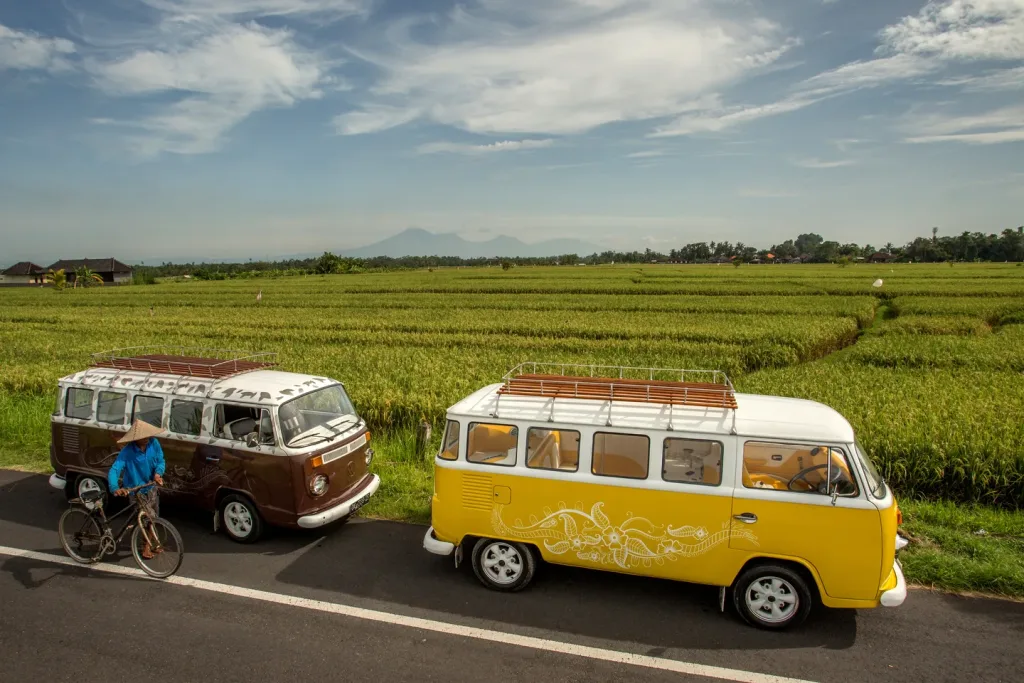 VW Limo Bali ricefields in Cemagi[1]