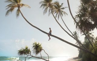 sitting on a palm tree