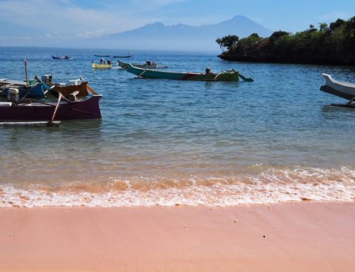 Discover a Rare Pink Beach Here (One of 10 in the World)