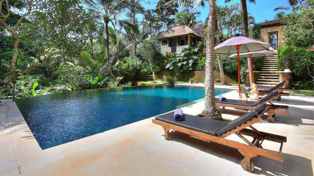 Villa Alamanda - Swimming pool with jungle backdrop