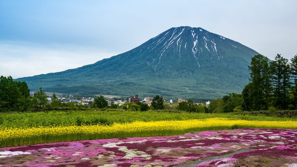 Mount Yotei