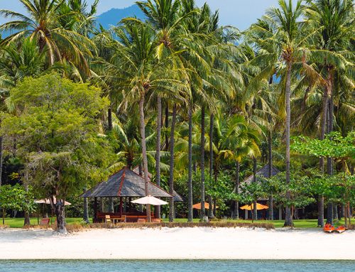 Discover Paradise: 4 Amazing Reasons to Visit Lombok