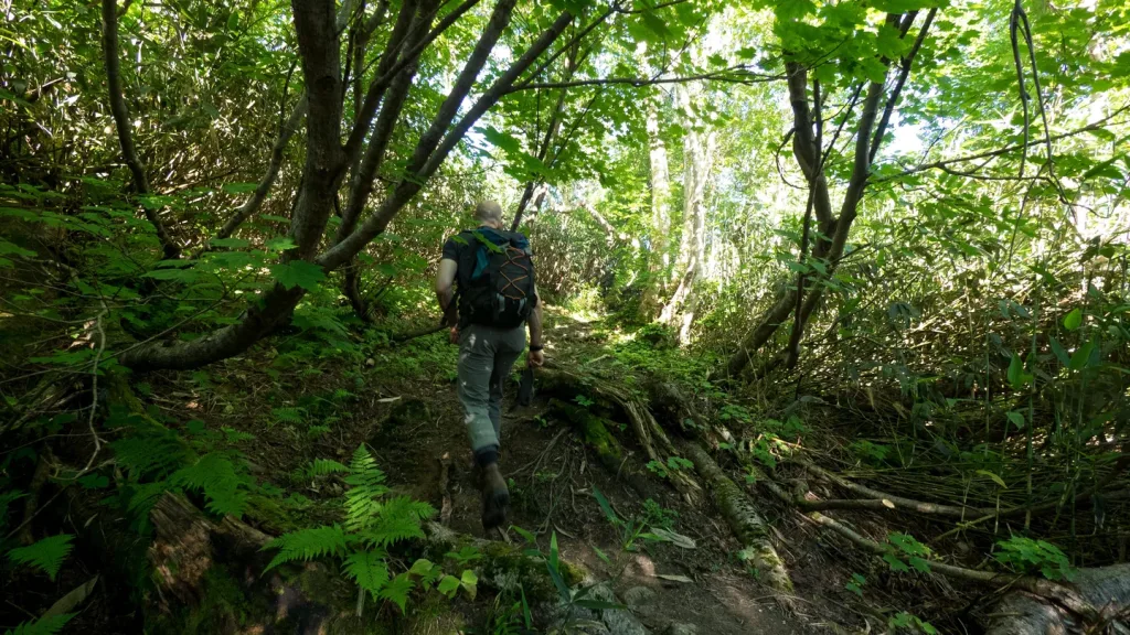 Trekking in Japan is wonderful in summers