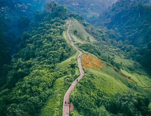 Secrets of Ubud: An Insider’s Guide to Bali’s Cultural Heart