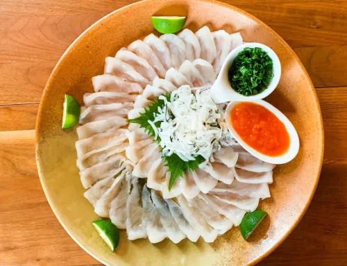 Fugu – A Japanese Puffer Fish More Poisonous Than Cyanide