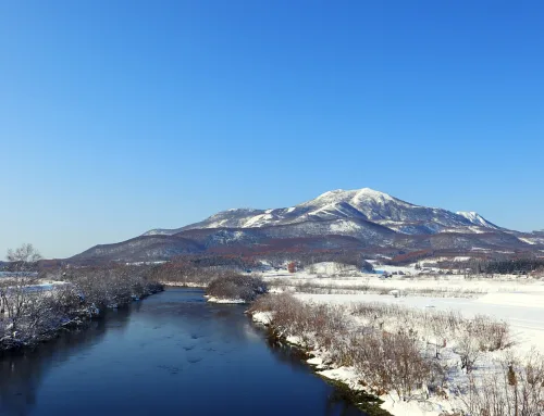 Niseko Skiing vs the Rest of the World: What Makes Japan’s Powder Capital Different?