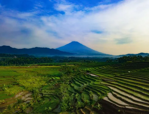 Discover Ubud – Bali’s Spiritual Centre in the Hills