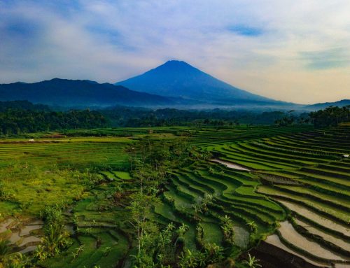 Say Hello to Ubud – Bali’s Spiritual Centre