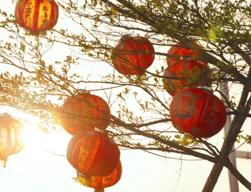 Chinese New Year in Thailand: Where to Celebrate, What to See & What to Expect