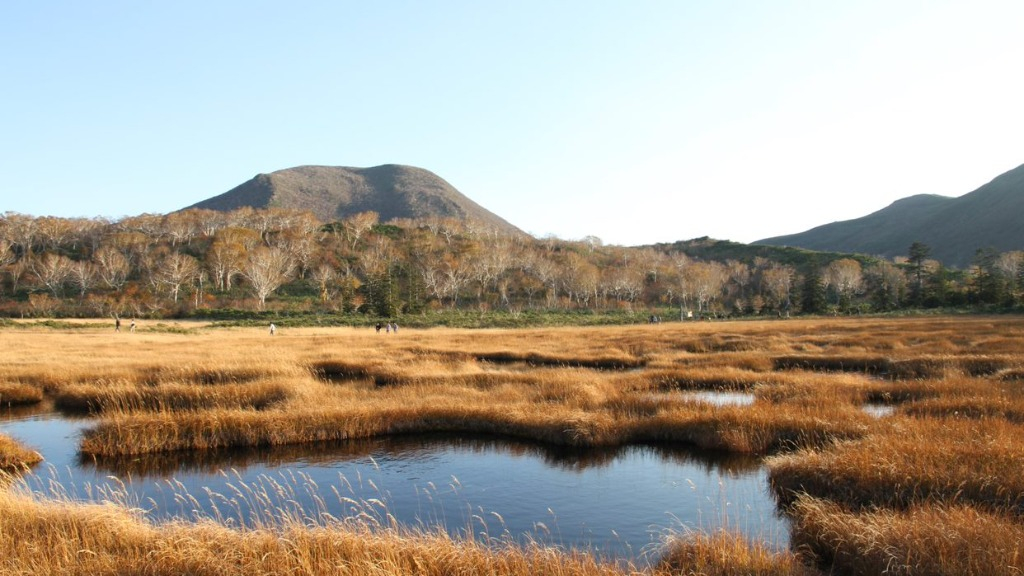 Japan Fields Niseko