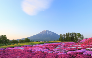 Mt Yotei - Niseko - Japan