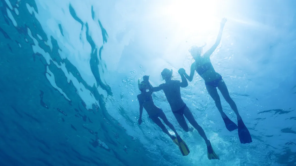Family Snorkeling