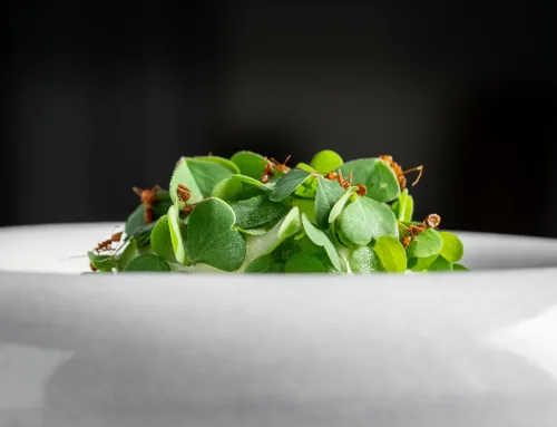 Michelin & 50 Best Discovery Restaurant: Fermentation Takes Centrestage at Hom, Phuket
