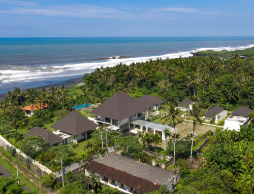 How & Where to Plan The Ultimate Corporate Retreat in Bali for 2025