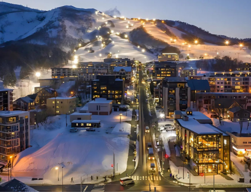 Niseko, Japan 2026: Essential Tips for Transport, Dining & Day Trips