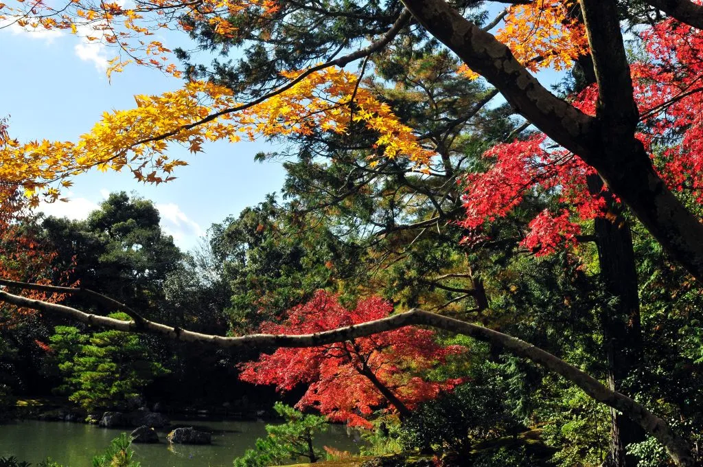 Japan in autumn