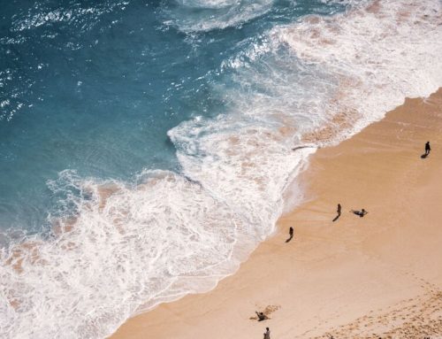 Ubud vs Seminyak: Which Bali Vibe Suits You?