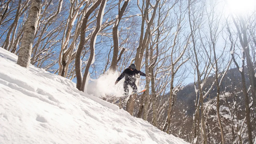 Snowboarder skiing in Niseko, Japan