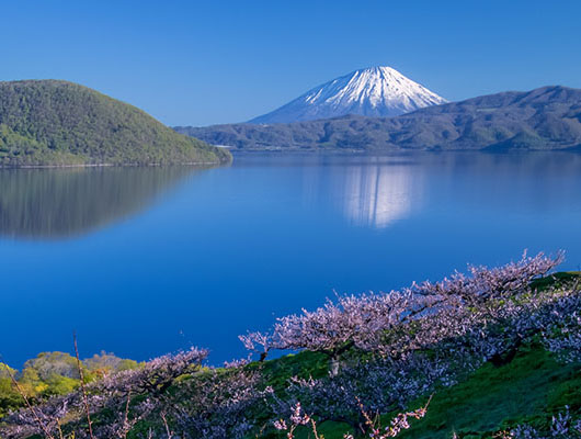 Tranquil Summer in Hokkaido