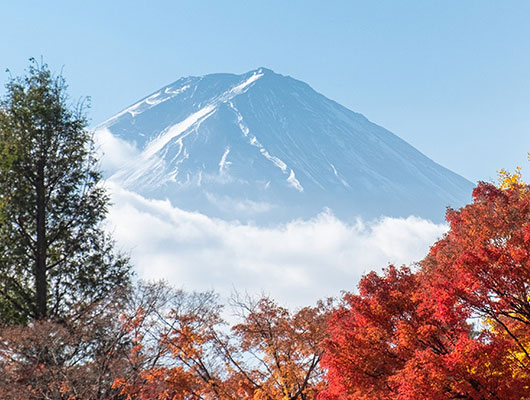 Experience Autumn's Finest in Niseko
